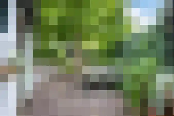 Pastoor van den Boomstraat 102 Berlicum thumbnail 41