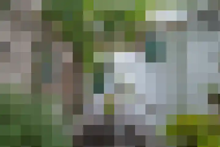 Pastoor van den Boomstraat 102 Berlicum thumbnail 42