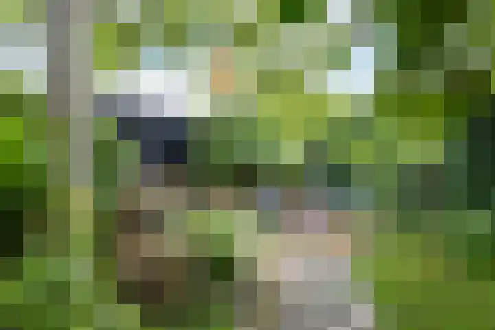 Pastoor van den Boomstraat 102 Berlicum thumbnail 43