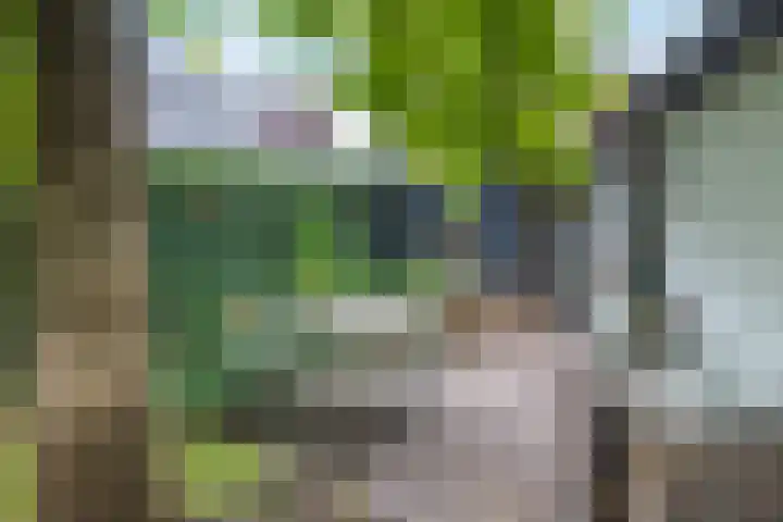 Pastoor van den Boomstraat 102 Berlicum thumbnail 44