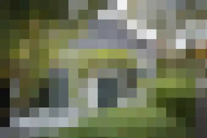 Pastoor van den Boomstraat 102 Berlicum thumbnail 5