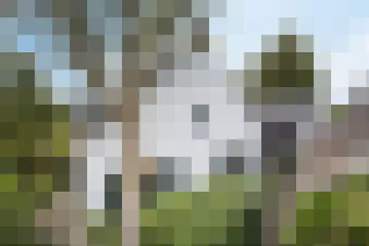 Pastoor van den Boomstraat 102 Berlicum thumbnail 6