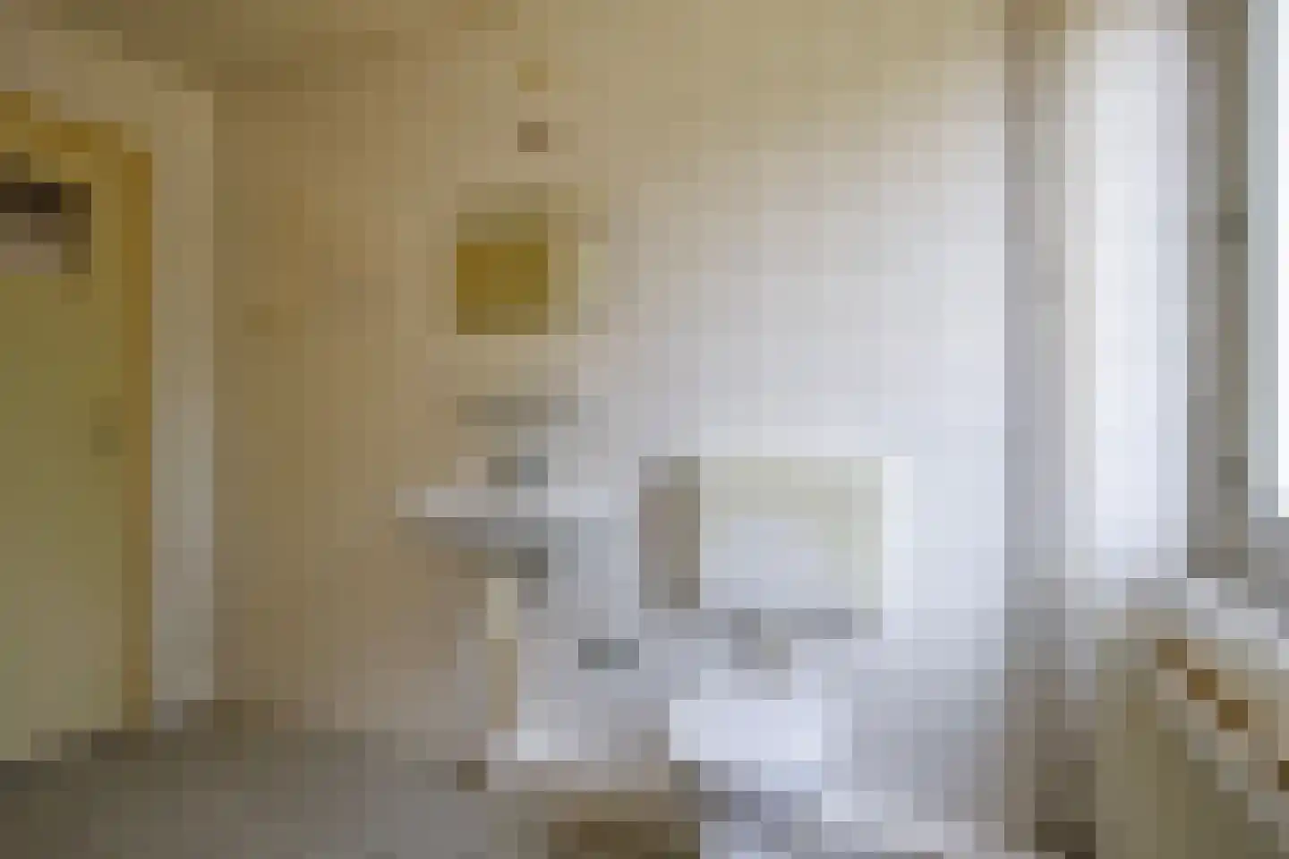 Pastoor van den Boomstraat 107 Berlicum thumbnail 20