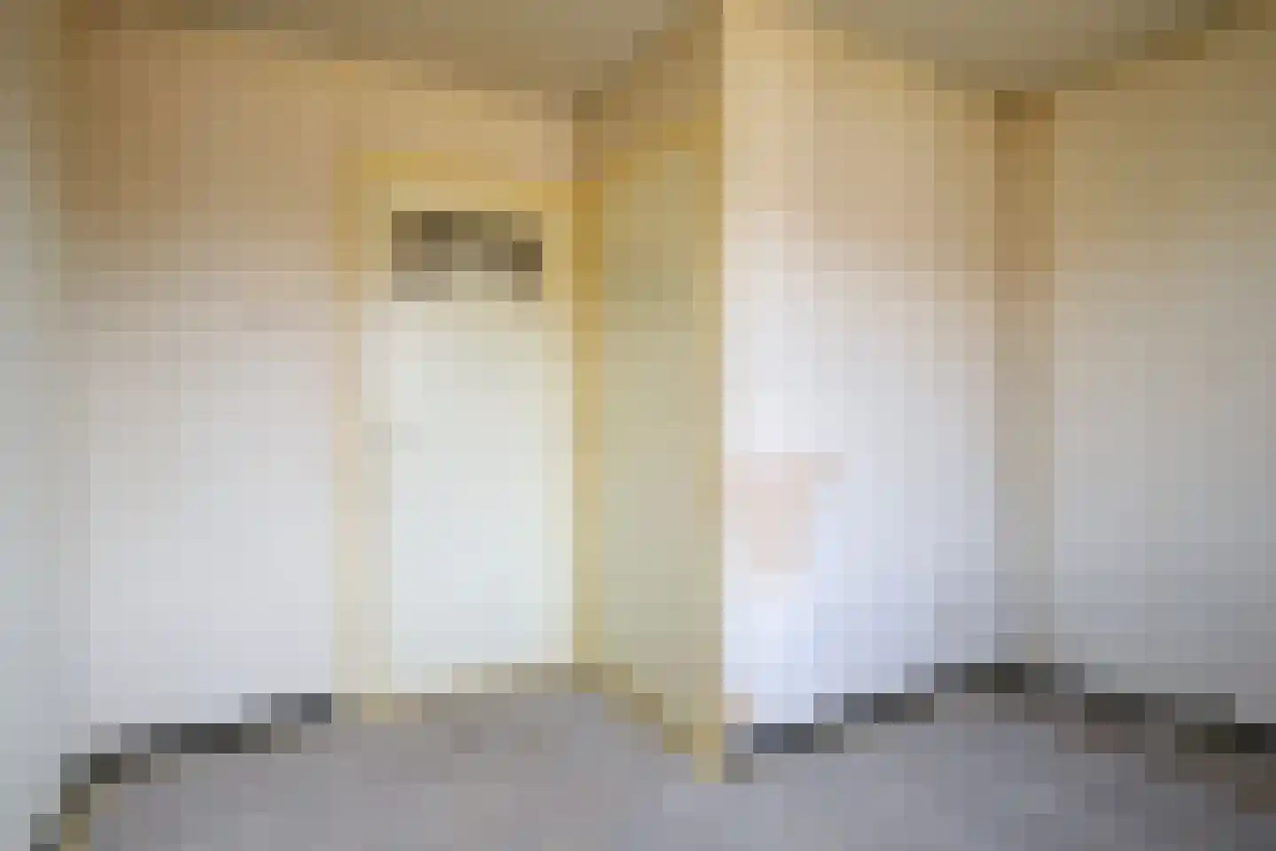 Pastoor van den Boomstraat 107 Berlicum thumbnail 23