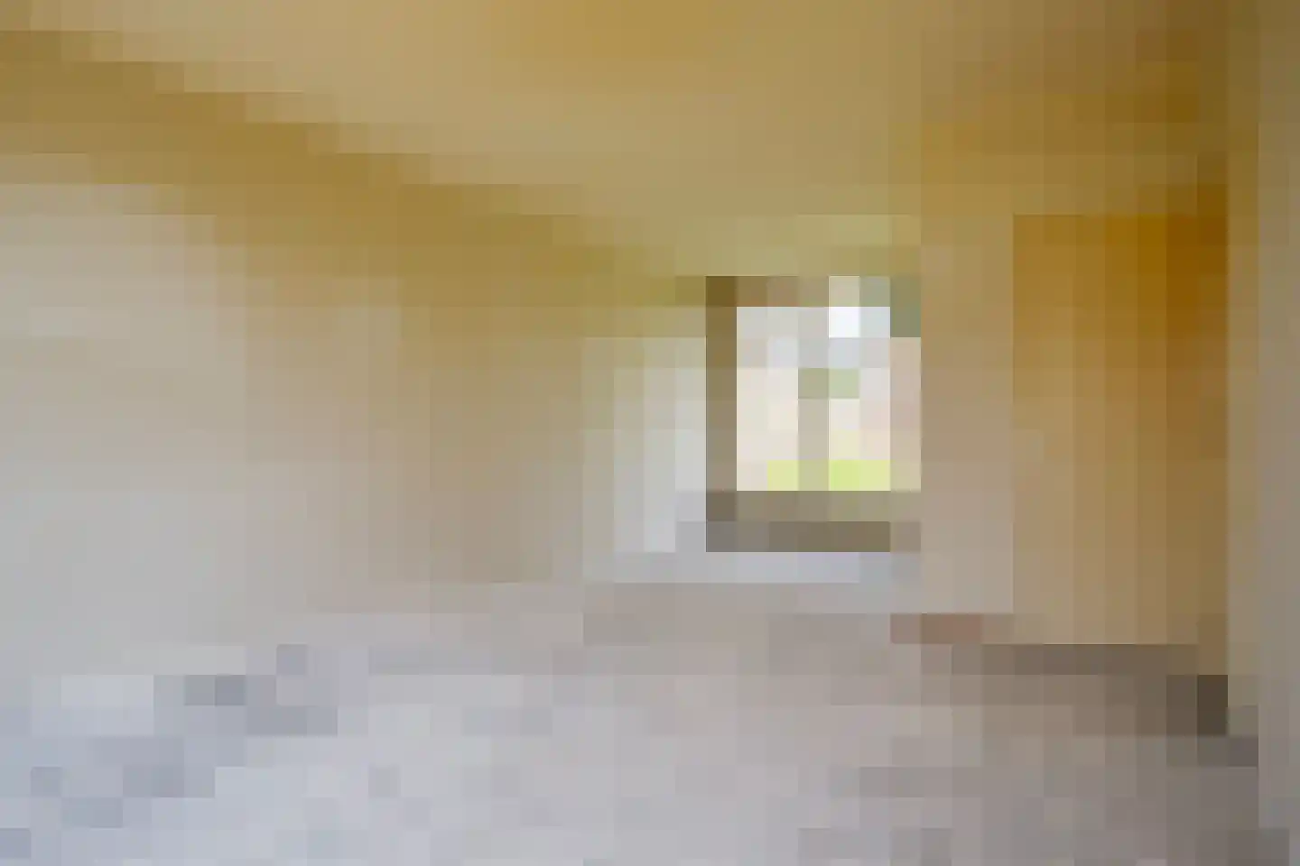 Pastoor van den Boomstraat 107 Berlicum thumbnail 5