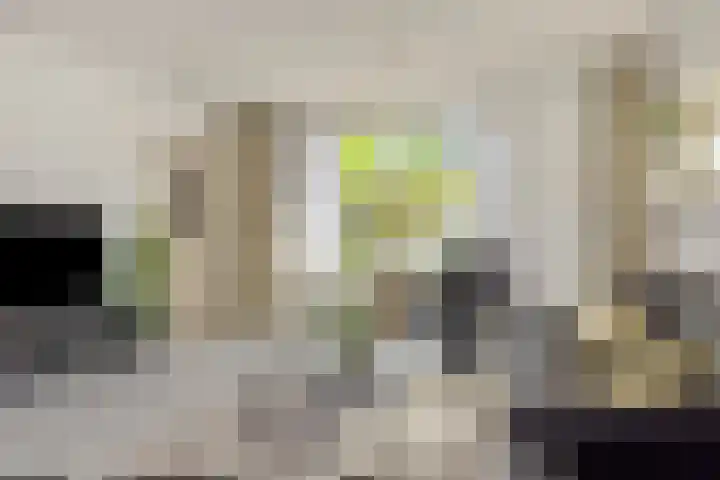 Pastoor van den Boomstraat 12 Berlicum thumbnail 10