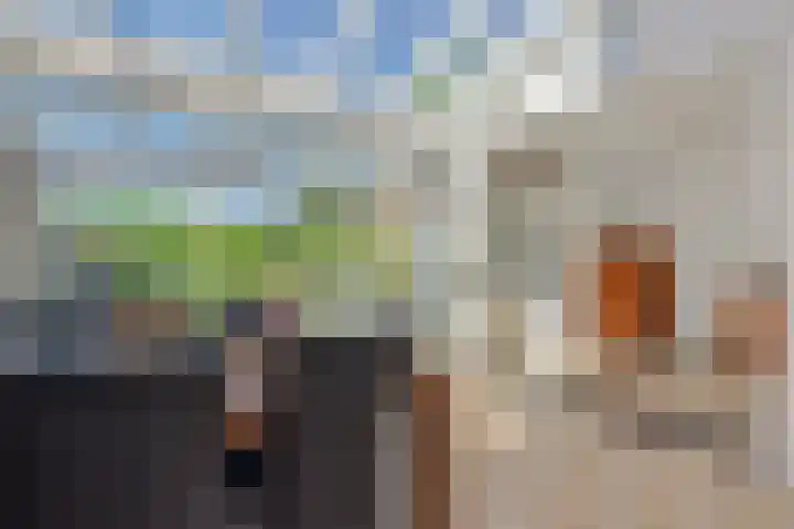 Pastoor van den Boomstraat 12 Berlicum thumbnail 11