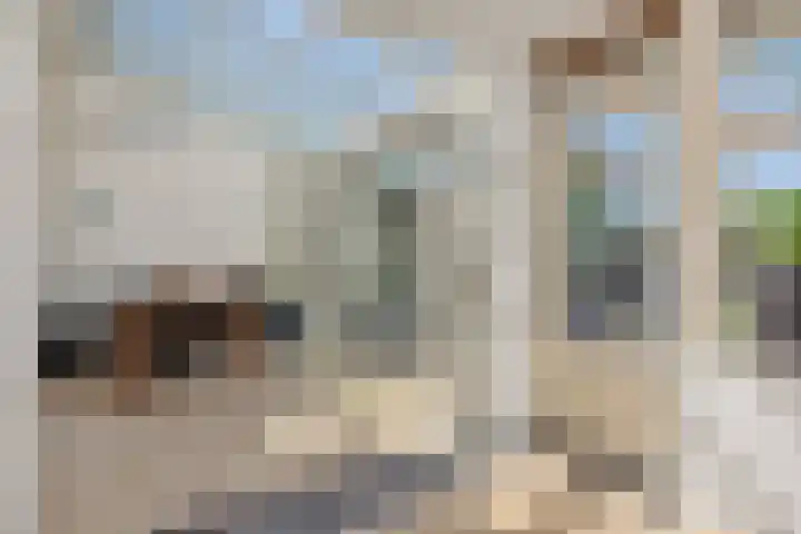 Pastoor van den Boomstraat 12 Berlicum thumbnail 12