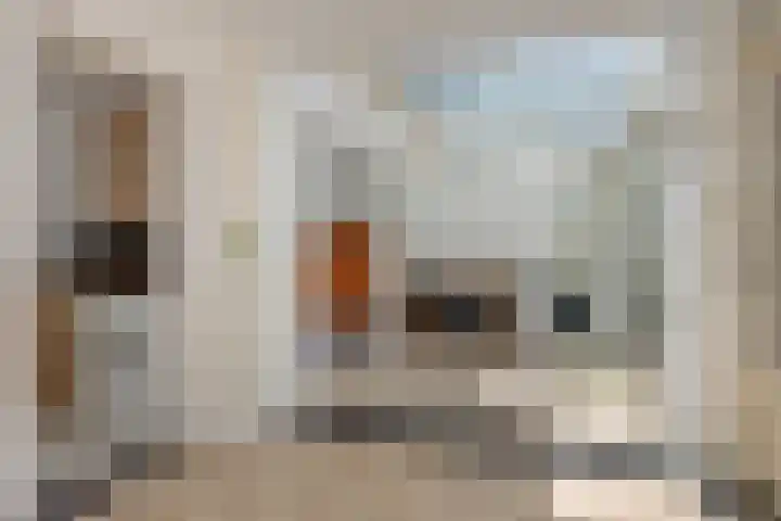 Pastoor van den Boomstraat 12 Berlicum thumbnail 13