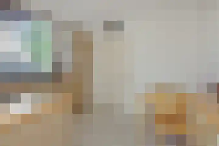Pastoor van den Boomstraat 12 Berlicum thumbnail 17