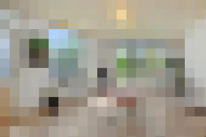 Pastoor van den Boomstraat 12 Berlicum thumbnail 19