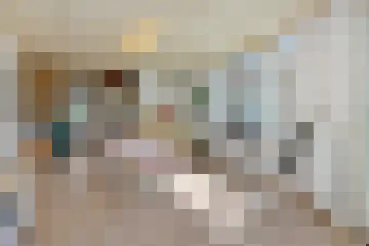 Pastoor van den Boomstraat 12 Berlicum thumbnail 20