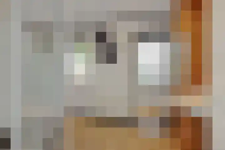 Pastoor van den Boomstraat 12 Berlicum thumbnail 24