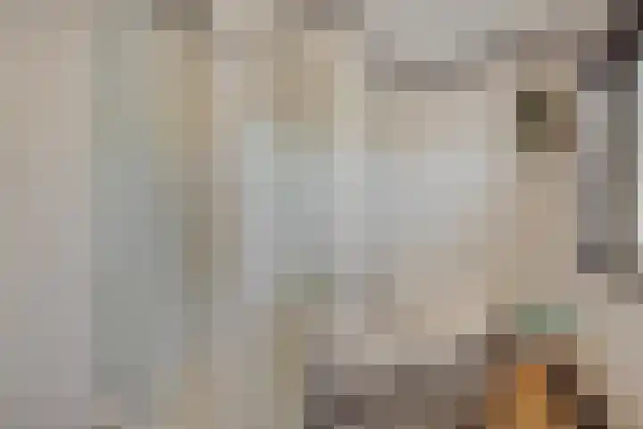 Pastoor van den Boomstraat 12 Berlicum thumbnail 25