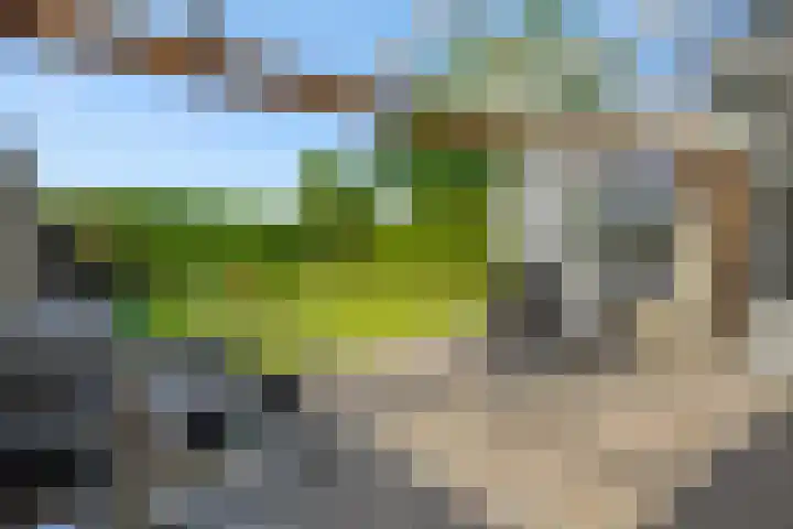 Pastoor van den Boomstraat 12 Berlicum thumbnail 36