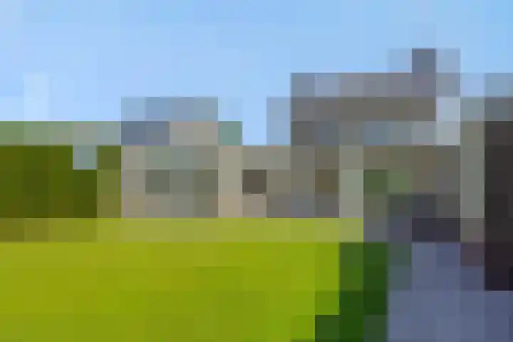 Pastoor van den Boomstraat 12 Berlicum thumbnail 38
