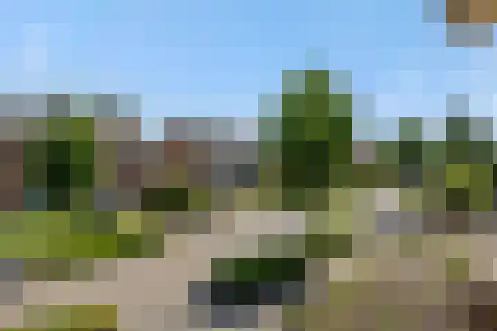 Pastoor van den Boomstraat 12 Berlicum thumbnail 39