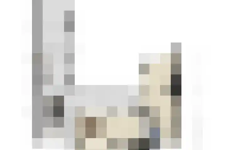Pastoor van den Boomstraat 12 Berlicum thumbnail 47
