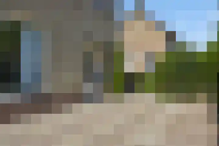 Pastoor van den Boomstraat 12 Berlicum thumbnail 5