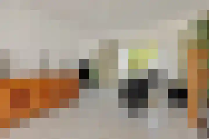 Pastoor van den Boomstraat 12 Berlicum thumbnail 9