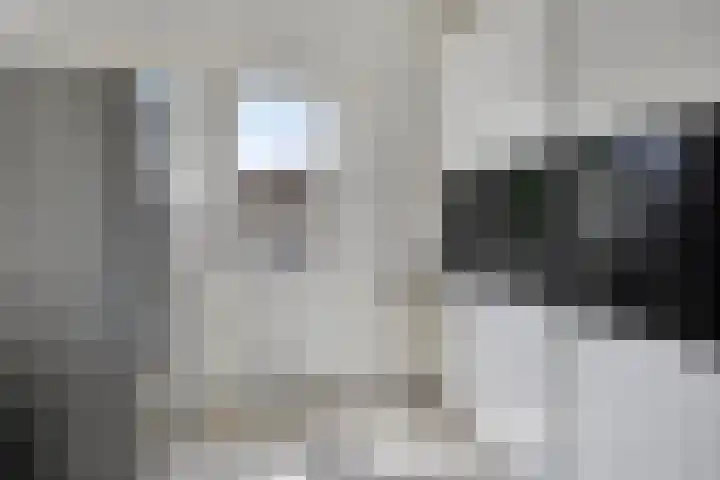 Pastoor van den Boomstraat 86 Berlicum thumbnail 13