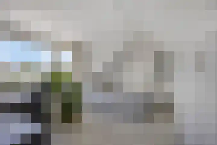Pastoor van den Boomstraat 86 Berlicum thumbnail 25