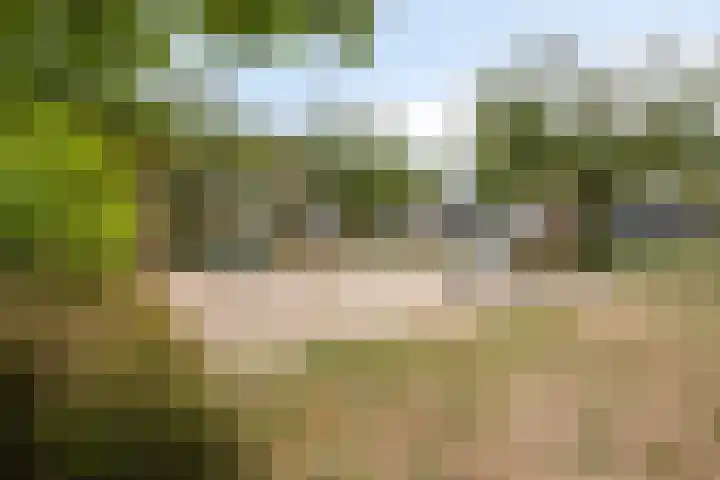 Pastoor van den Boomstraat 86 Berlicum thumbnail 33