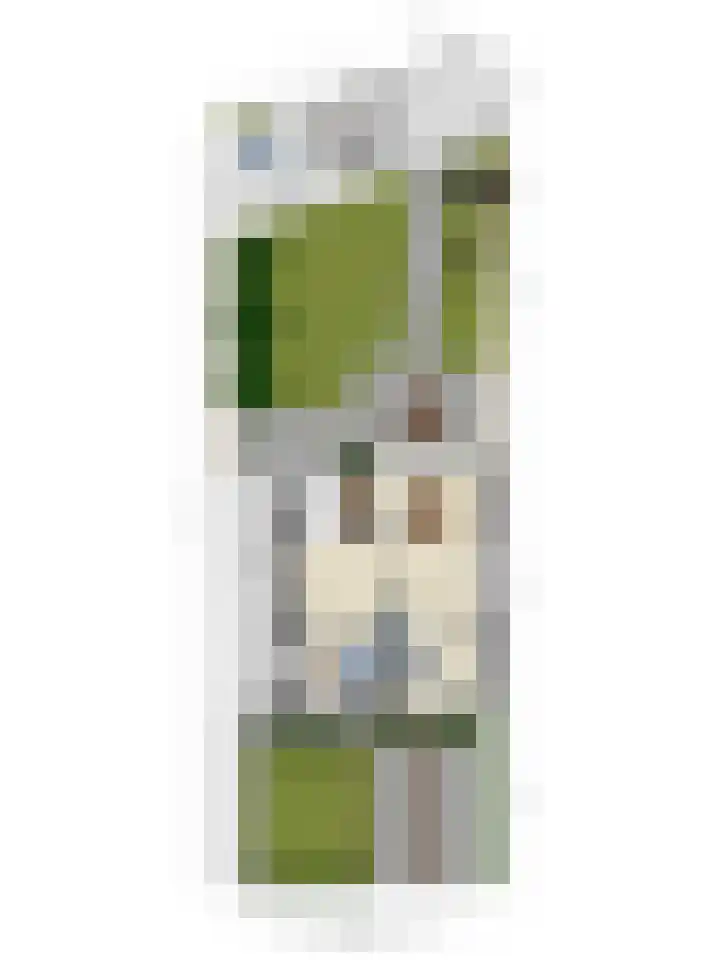 Pastoor van den Boomstraat 86 Berlicum thumbnail 35