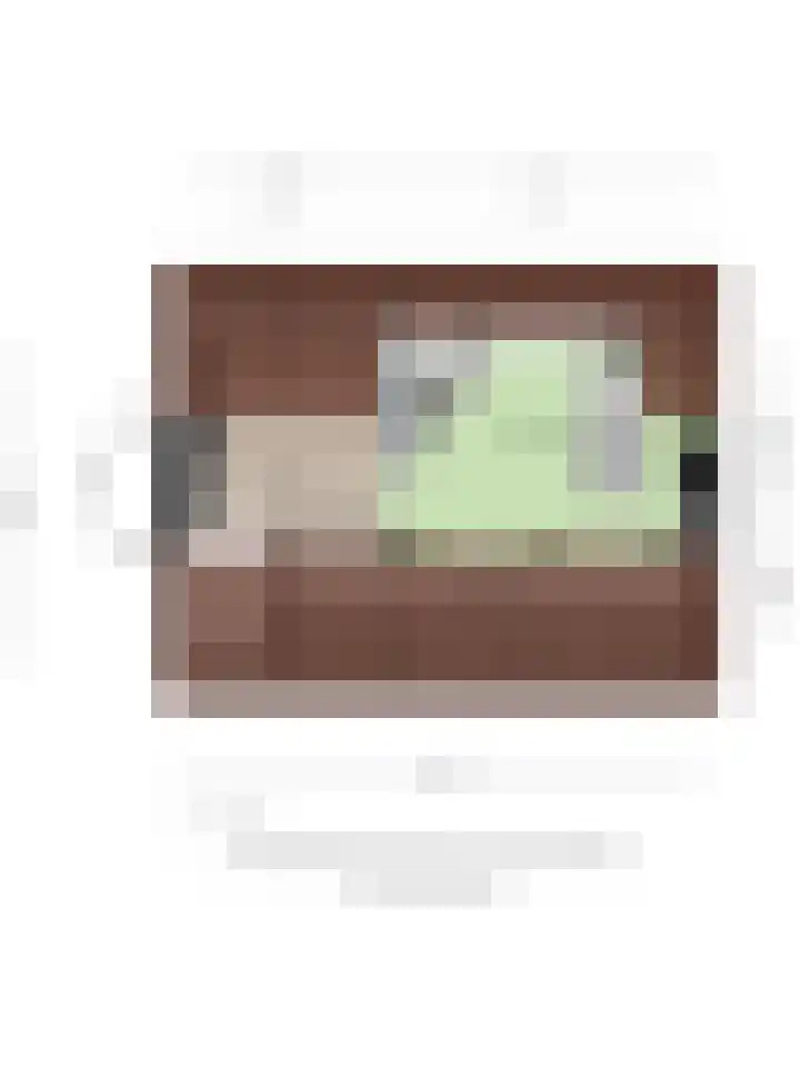 Pastoor van den Boomstraat 86 Berlicum thumbnail 38