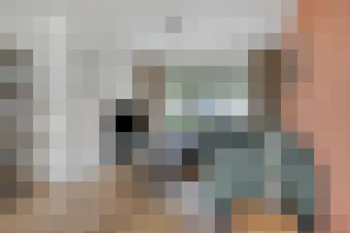 Pastoor van den Boomstraat 86 Berlicum thumbnail 4