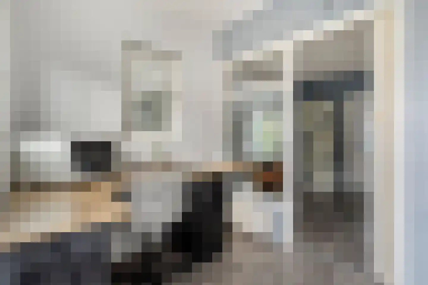 Pastoor van den Boomstraat 96 Berlicum thumbnail 19