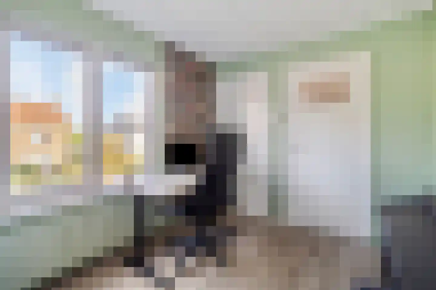 Pastoor van den Boomstraat 96 Berlicum thumbnail 29
