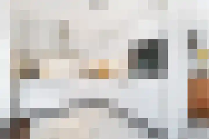 Pastoor van der Aalaan 3 Vlissingen thumbnail 12