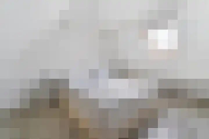 Pastoor van der Aalaan 3 Vlissingen thumbnail 32