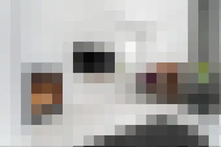 Pastoor van der Aalaan 3 Vlissingen thumbnail 7