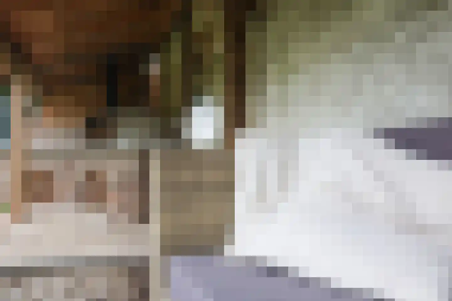 Pastoor van der Heijdenlaan 52 Kerkrade thumbnail 29