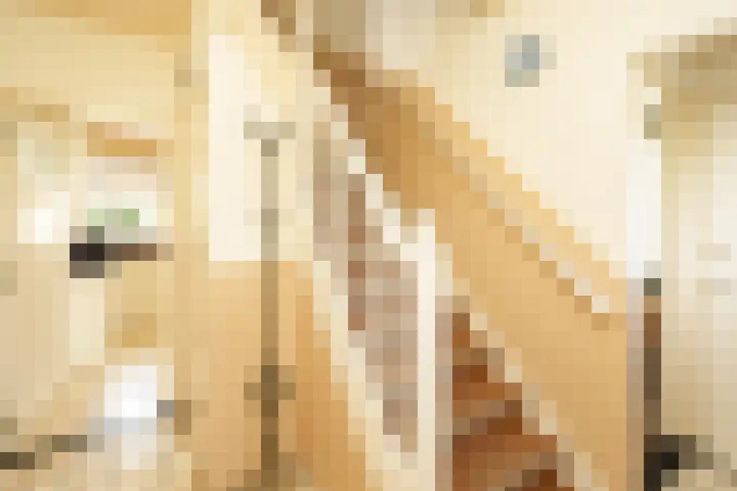 Pastoor van der Marckstraat 10 Weurt thumbnail 7