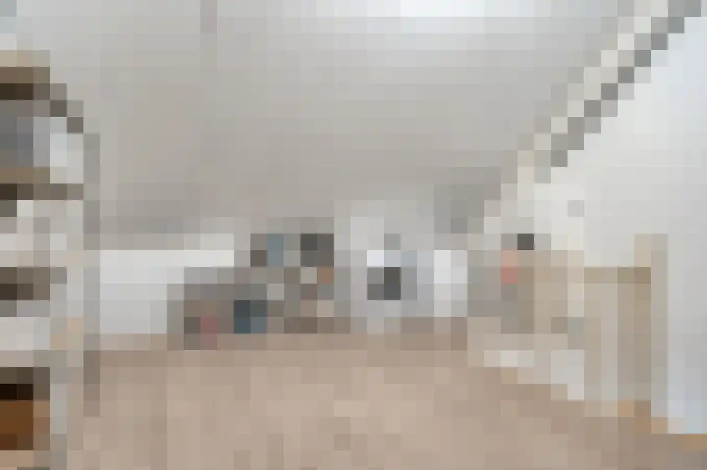 Pastoor van der Meijdenstraat 19 Oisterwijk thumbnail 21
