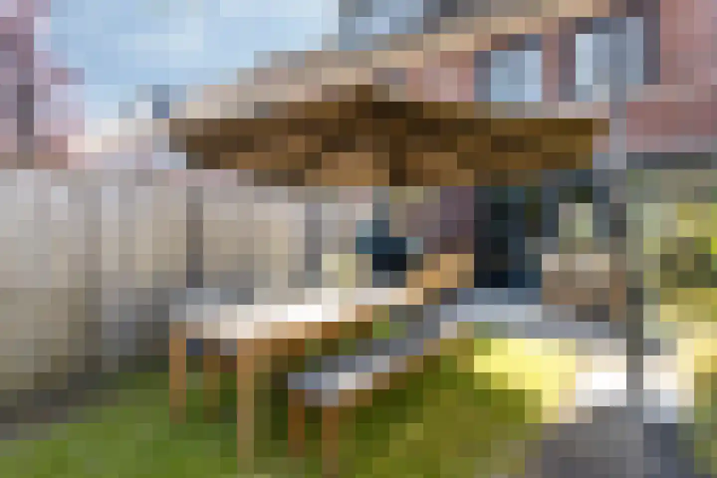 Pastoor van der Meijdenstraat 19 Oisterwijk thumbnail 23