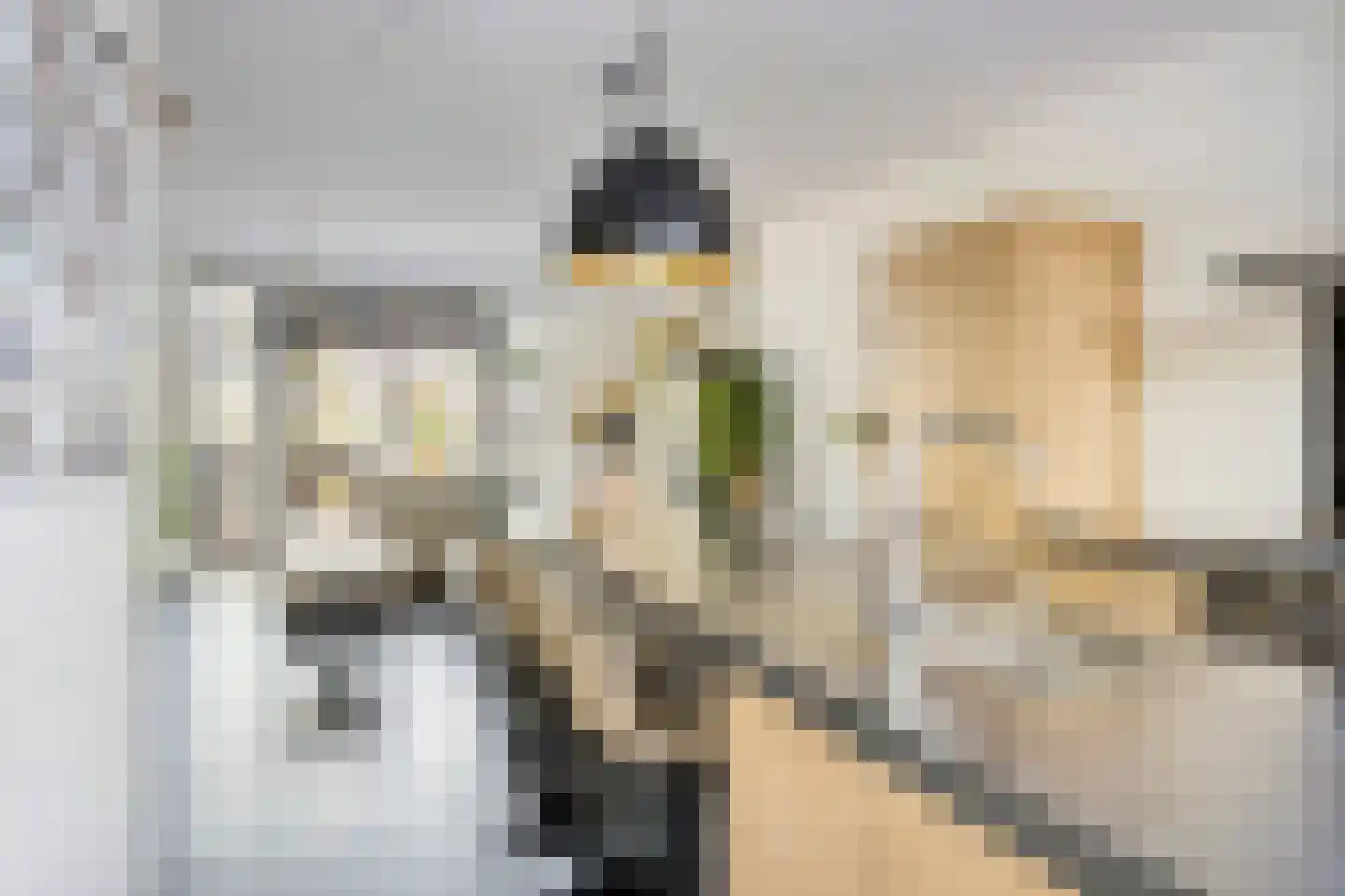 Pastoor van der Meijdenstraat 19 Oisterwijk thumbnail 4
