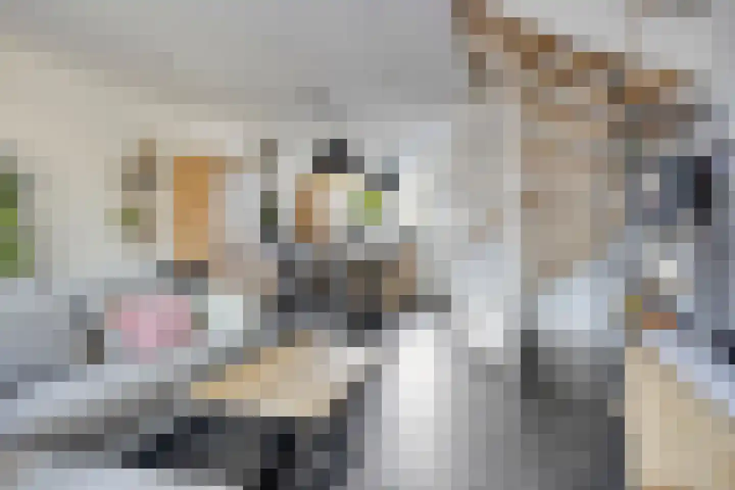 Pastoor van der Meijdenstraat 19 Oisterwijk thumbnail 6