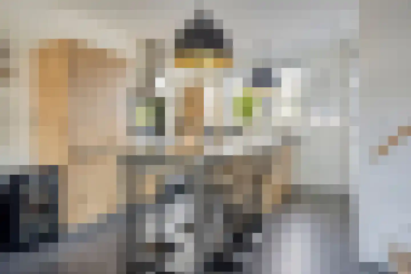 Pastoor van der Meijdenstraat 19 Oisterwijk thumbnail 8