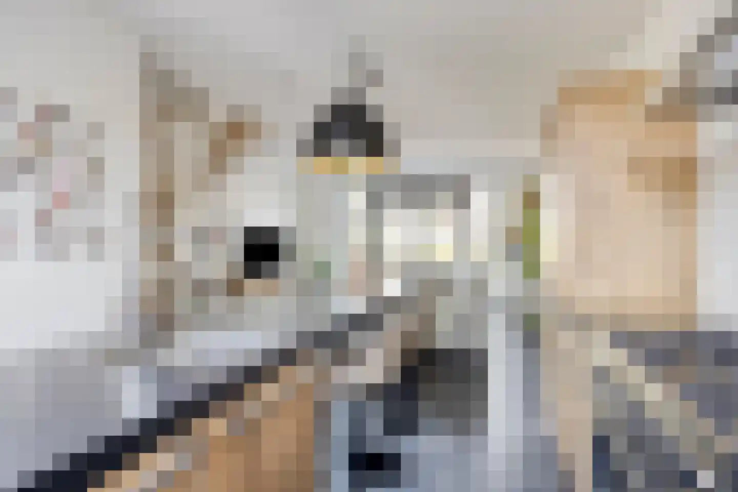Pastoor van der Meijdenstraat 19 Oisterwijk thumbnail 9