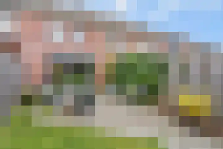 Pastoor van der Meijdenstraat 35 Oisterwijk thumbnail 26