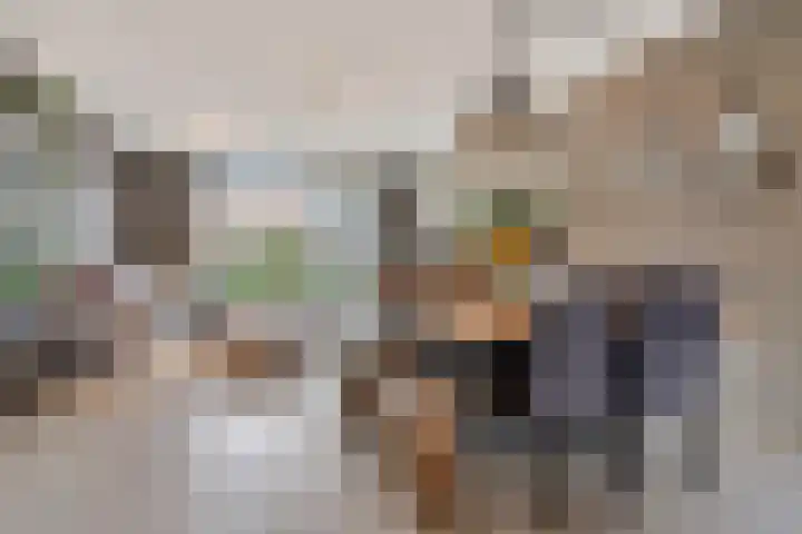 Pastoor van der Meijdenstraat 35 Oisterwijk thumbnail 4