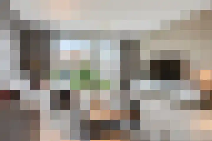 Pastoor van der Meijdenstraat 35 Oisterwijk thumbnail 5
