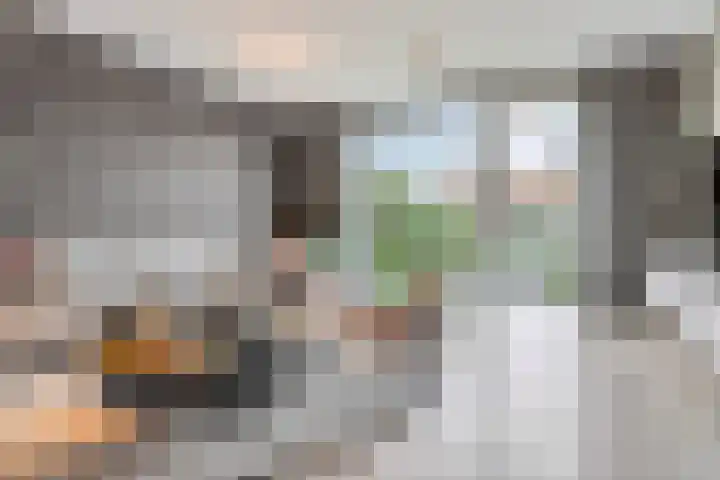 Pastoor van der Meijdenstraat 35 Oisterwijk thumbnail 6