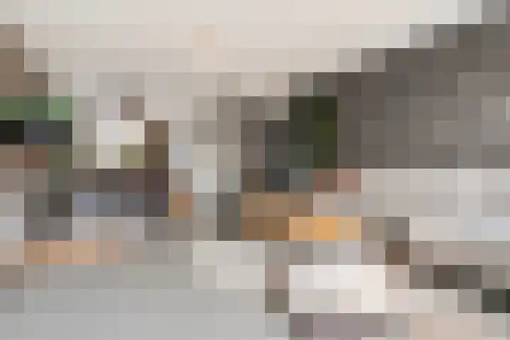 Pastoor van der Meijdenstraat 35 Oisterwijk thumbnail 7