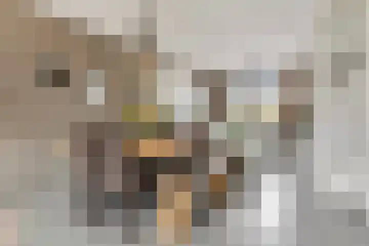 Pastoor van der Meijdenstraat 35 Oisterwijk thumbnail 8