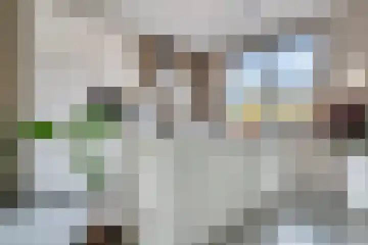 Pastoor van der Meijdenstraat 35 Oisterwijk thumbnail 9